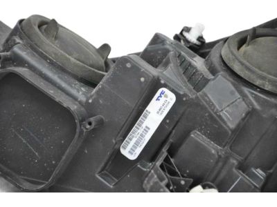 GJ5Z-13008-L Ford Lamp Assembly, Passenger Side Product Photo 4 of 4