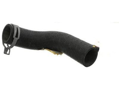 Mercury 1F1Z-8286-AB Hose Assembly