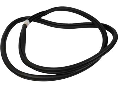Ford HL3Z-16253A10-A Weatherstrip Assembly - Door Opening, Passenger Side HL3Z-16253A10-A Ford Weatherstrip Assembly - Door Opening, Passenger Side Product Photo 1 of 4