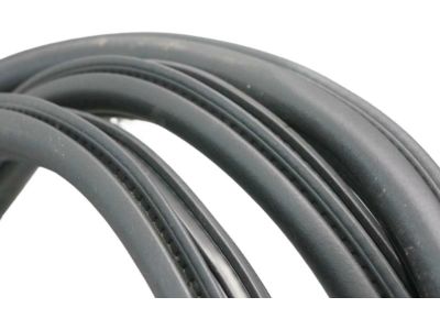 HL3Z-16253A10-A Ford Weatherstrip Assembly - Door Opening, Passenger Side Product Photo 3 of 4