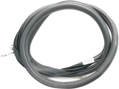 HL3Z-16253A10-A Ford Weatherstrip Assembly - Door Opening, Passenger Side Product Photo 2 of 4