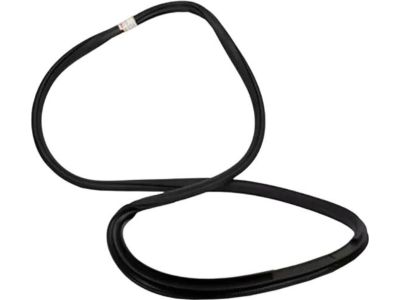 HL3Z-16253A10-A Ford Weatherstrip Assembly - Door Opening, Passenger Side Product Photo 4 of 4