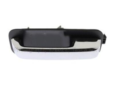 Ford FL3Z-1522404-DJPTM Handle Assembly - Door Outer