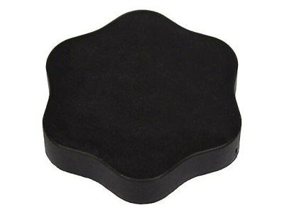 Lincoln 6E5Z-3A006-B Cap
