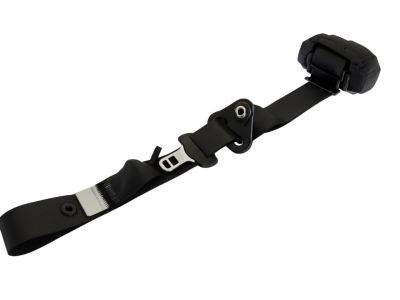9L8Z-78611B69-AC Ford Seat Belt Assembly, Driver Side Product Photo 1 of 2