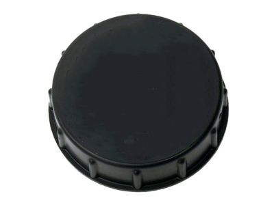 Lincoln 6E5Z-2162-AA Plug - Filler