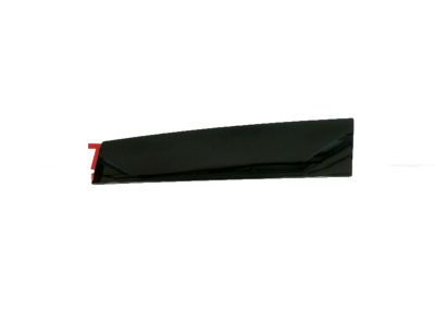 Ford AG1Z-5420554-AC Molding - Door Outside