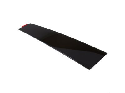 Ford AG1Z-5420554-AC Molding - Door Outside