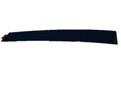 Ford AG1Z-5420554-AC Molding - Door Outside