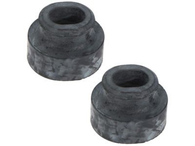 Lincoln XW4Z-8124-AA Insulator - Radiator Support