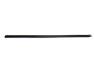 Ford 2F1Z-5420938-PTM Molding - Door Outside