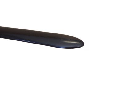 Ford 2F1Z-5420938-PTM Molding - Door Outside