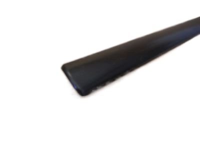 Ford 2F1Z-5420938-PTM Molding - Door Outside