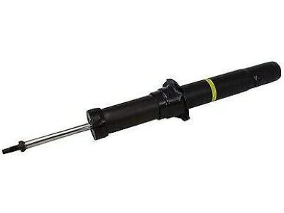 Lincoln AH6Z-18124-C Shock Absorber Assembly