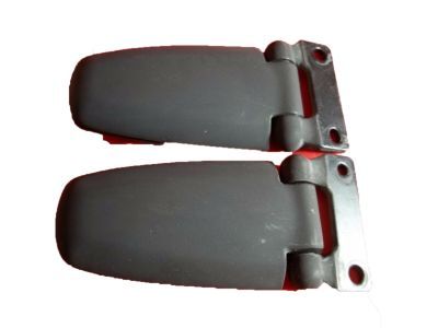 Lincoln 1L1Z-78420A68-AA Hinge - Glass