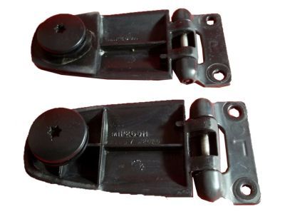 Lincoln 1L1Z-78420A68-AA Hinge - Glass