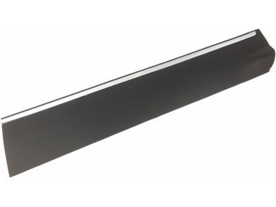 Ford CJ5Z-7820879-AA Molding - Door Outside