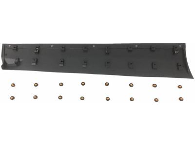 Ford CJ5Z-7820879-AA Molding - Door Outside