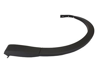 Lincoln FA1Z-58290A60-AA Moulding