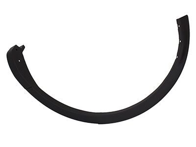 Lincoln FA1Z-58290A60-AA Moulding