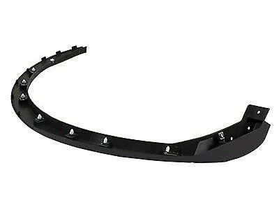 Lincoln FA1Z-58290A60-AA Moulding