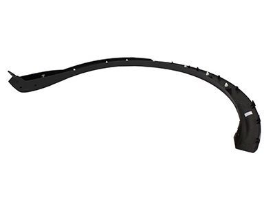 Lincoln FA1Z-58290A60-AA Moulding
