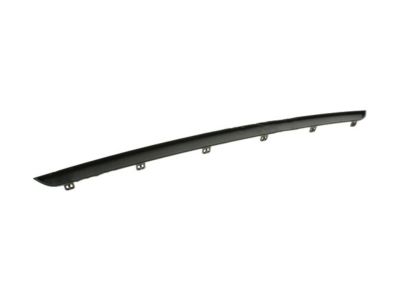 Ford DR3Z-17C830-AA Molding - Bumper Bar