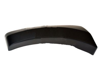 Ford 5C3Z-16039-AAA Molding - Bumper Bar