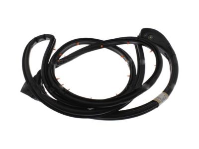 Ford Explorer Sport Trac Door Seal - 8A2Z-7825324-A
