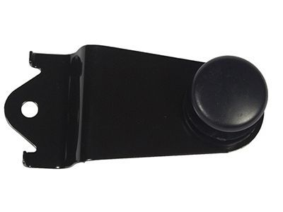 Ford F81Z-28303A22-AA Hinge - Glass