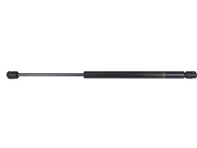 Ford F81Z-16C826-AB Lift Assembly - Gas