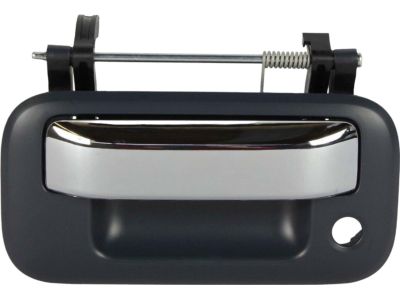 8L3Z-9943400-DQ Ford Handle Product Photo 1 of 4