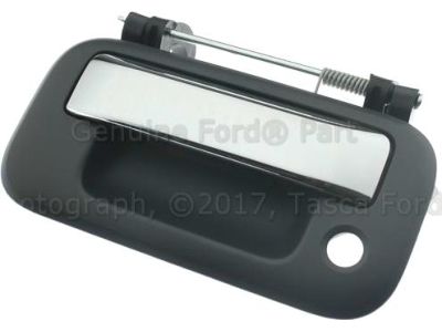 8L3Z-9943400-DQ Ford Handle Product Photo 4 of 4