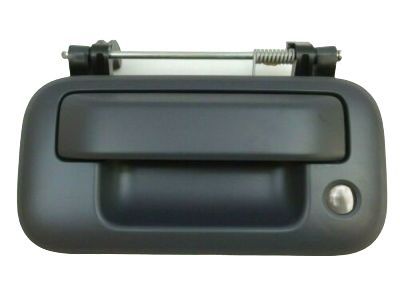 Lincoln Tailgate Handle - 8L3Z-9943400-BAPTM