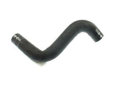 Mercury 8L2Z-8260-B Hose - Radiator