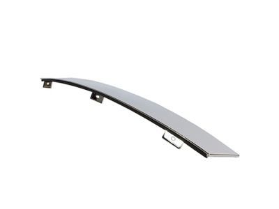Lincoln 4W1Z-5420554-AAA Molding - Door Outside