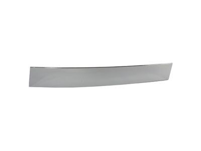 Lincoln 4W1Z-5420554-AAA Molding - Door Outside