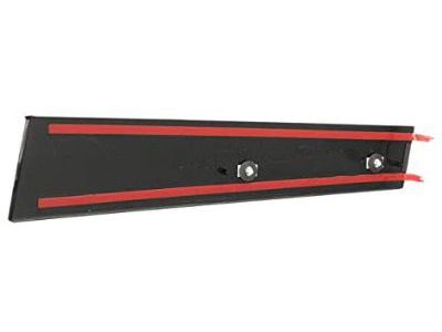 Ford BB5Z-7820555-BC Molding - Door Outside
