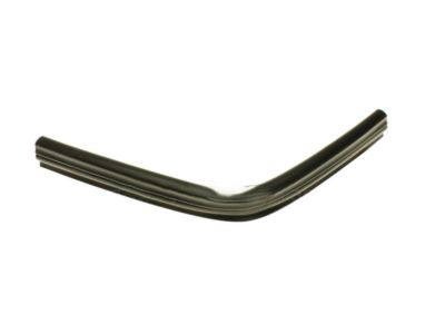Ford CT4Z-16A239-A Weatherstrip