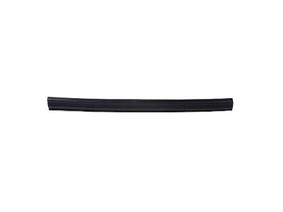 Ford CT4Z-16A239-A Weatherstrip