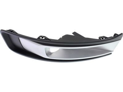 DA8Z-17E810-BA Ford Lamp Bezel, Front Passenger Side Product Photo 2 of 6