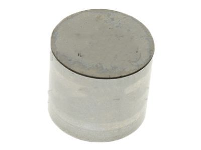 Lincoln CP9Z-6500-FBB Tappet - Valve