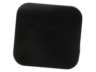 E9TZ-99405A26-A Ford Fuel Door Product Photo 2 of 2