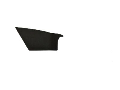 Lincoln HP5Z-5426552-AA Escutcheon - Handle