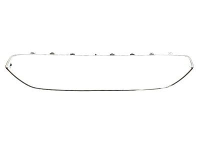 Ford DS7Z-8419-AA Panel - Finish