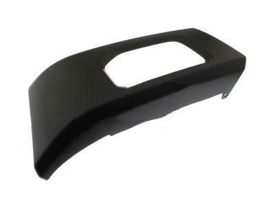 Ford FL3Z-17K833-APTM Molding - Bumper Bar