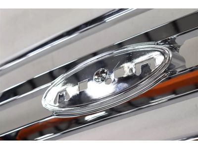 7L1Z-8200-BACP Ford Grille Assembly - Radiator Product Photo 1 of 4