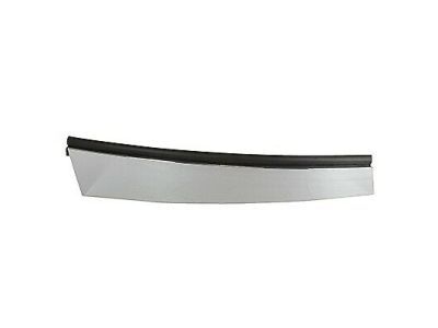 Lincoln 4W1Z-54255A35-AAA Moulding