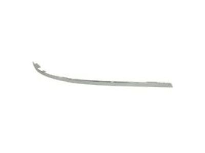 Ford CJ5Z-7850462-BA Moulding