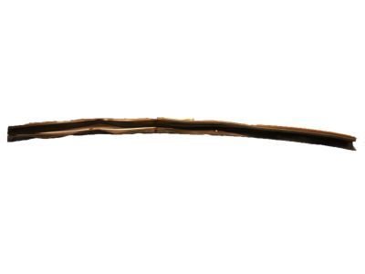 F81Z-26253A24-AA Ford Weatherstrip - Door - Lower Product Photo 1 of 1